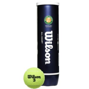 WILSON ROLAND GARROS kamuoliukų dėžutė 4vnt